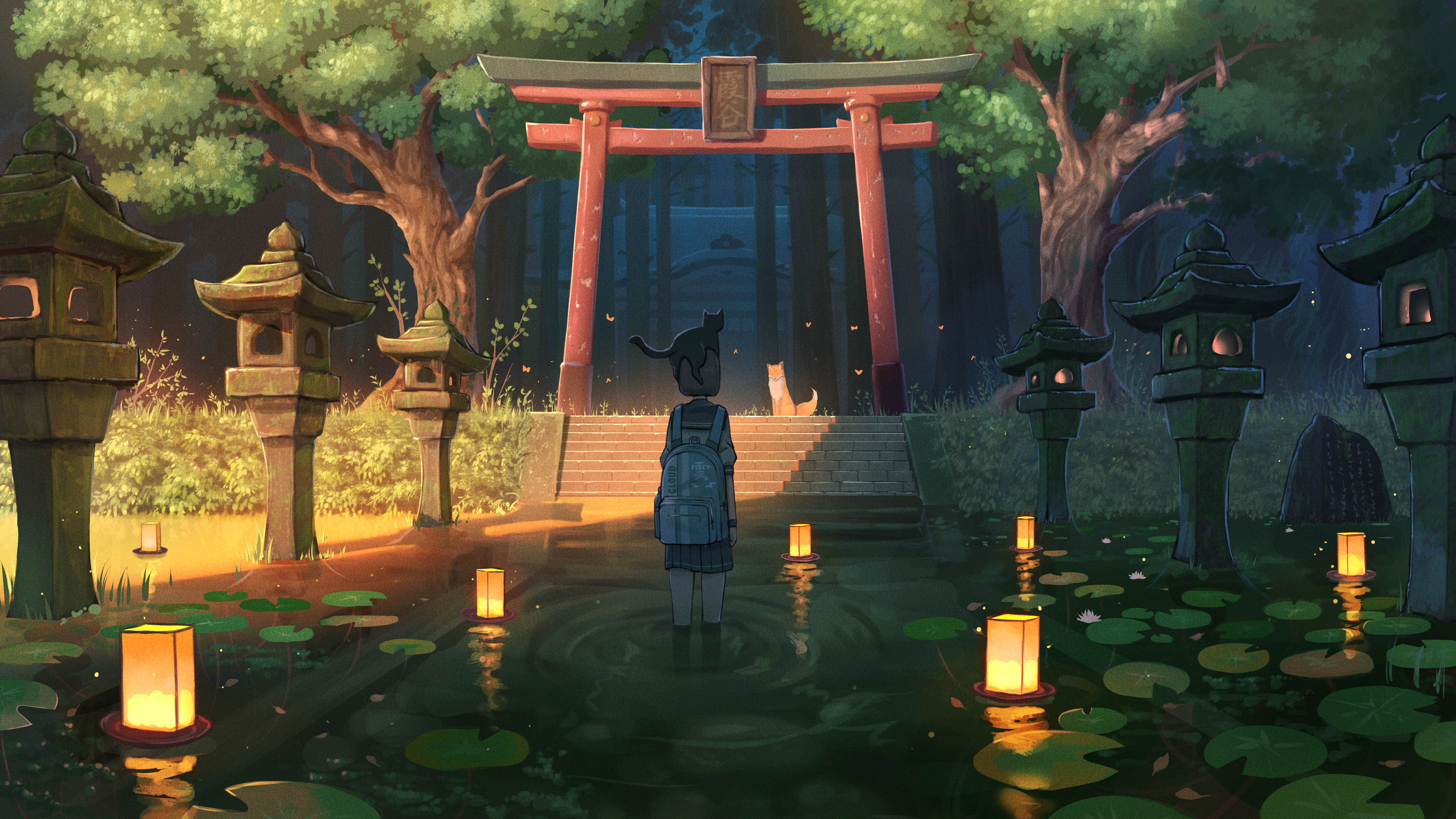 cover